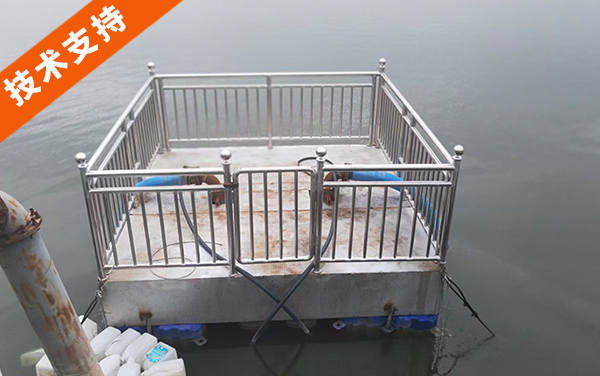 浮船泵站主要可以分为哪几类？